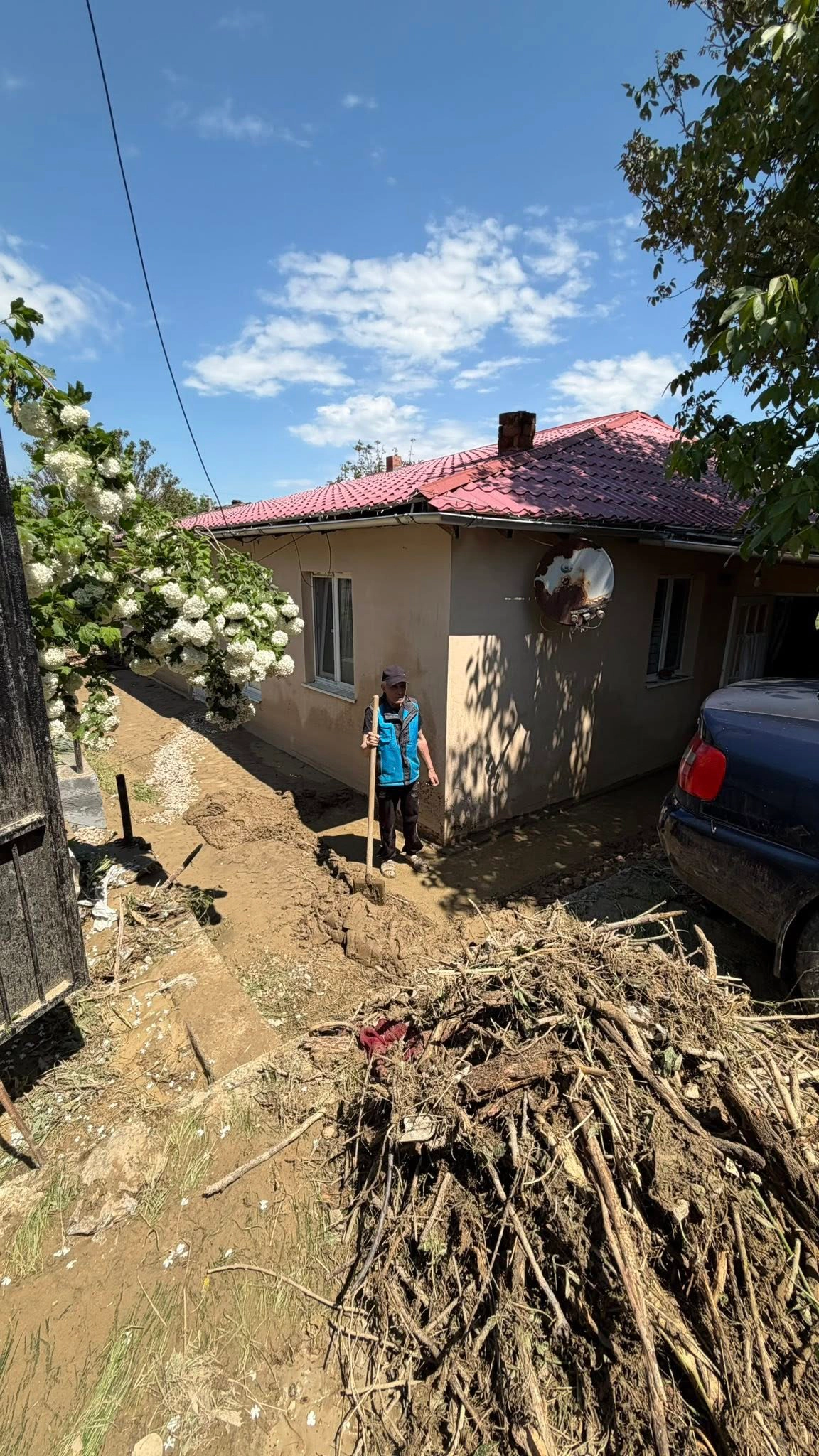 Curte în urma inundațiilor