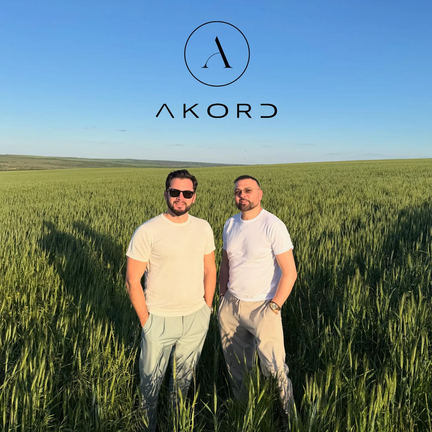 Akord