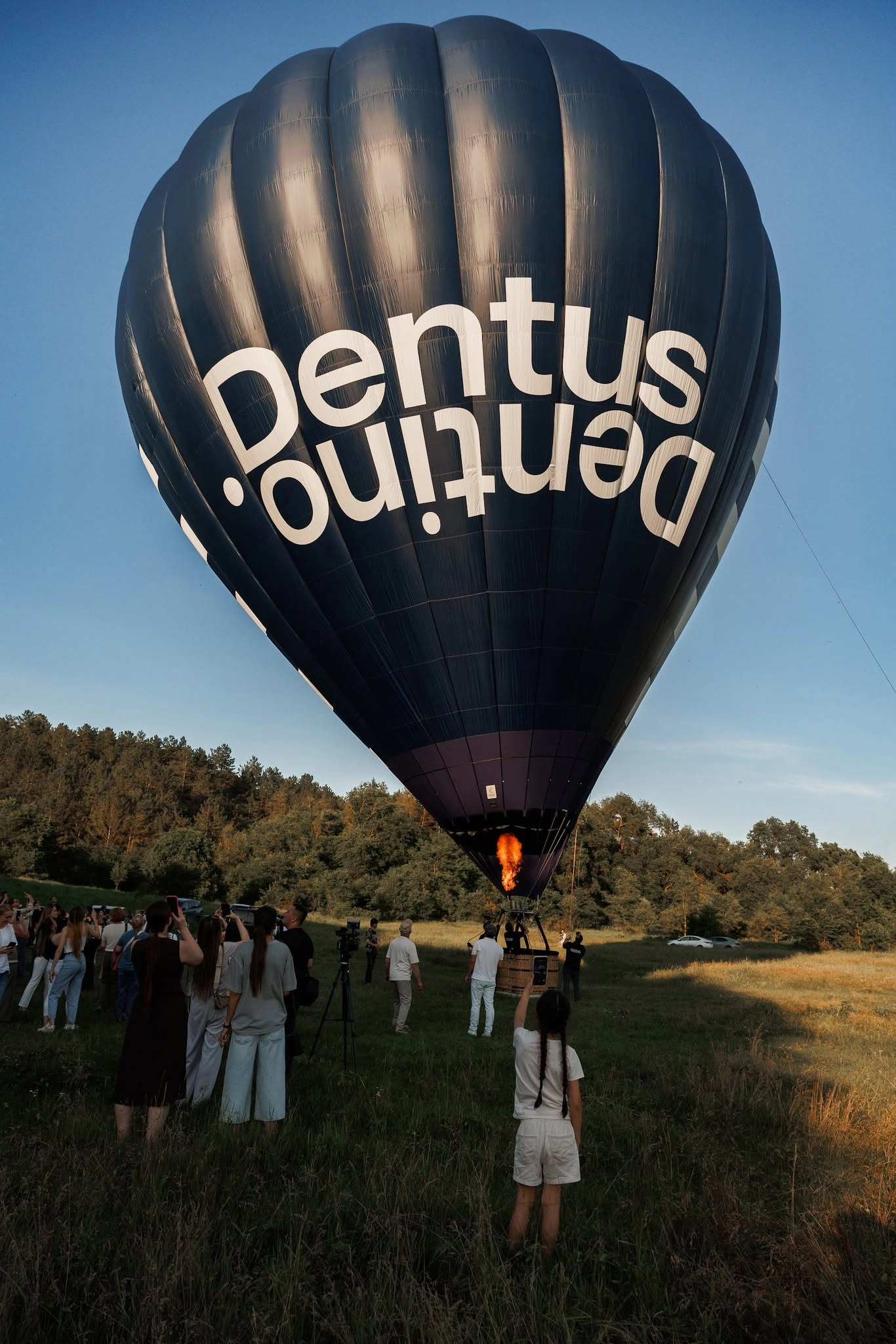 Dentus Dentino
