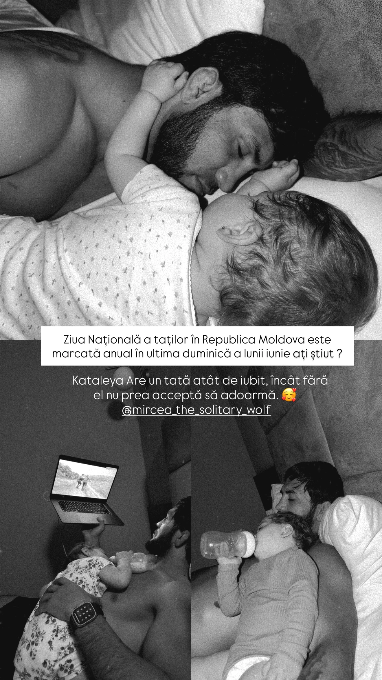 Familia Mircea