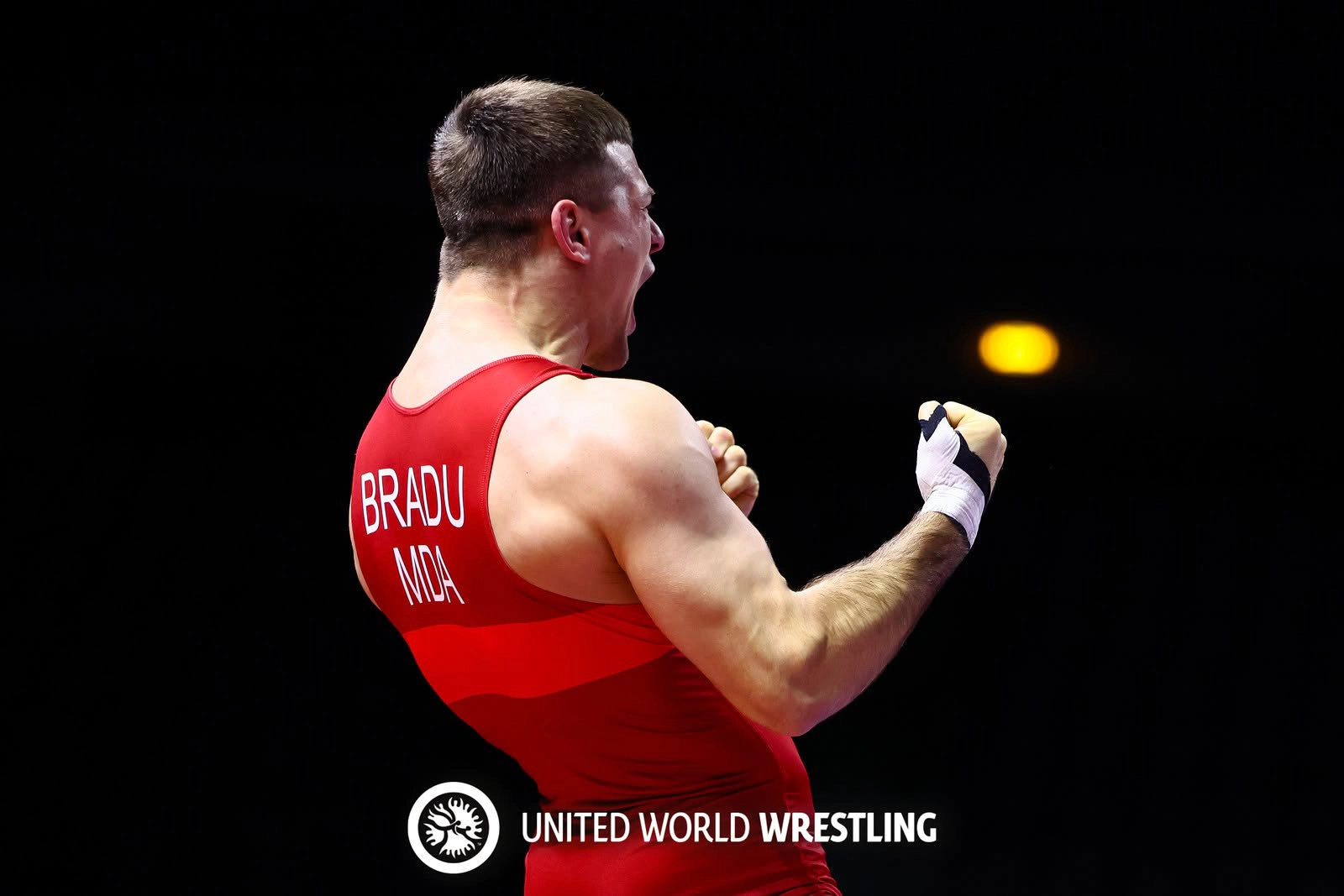 Mihail Bradu