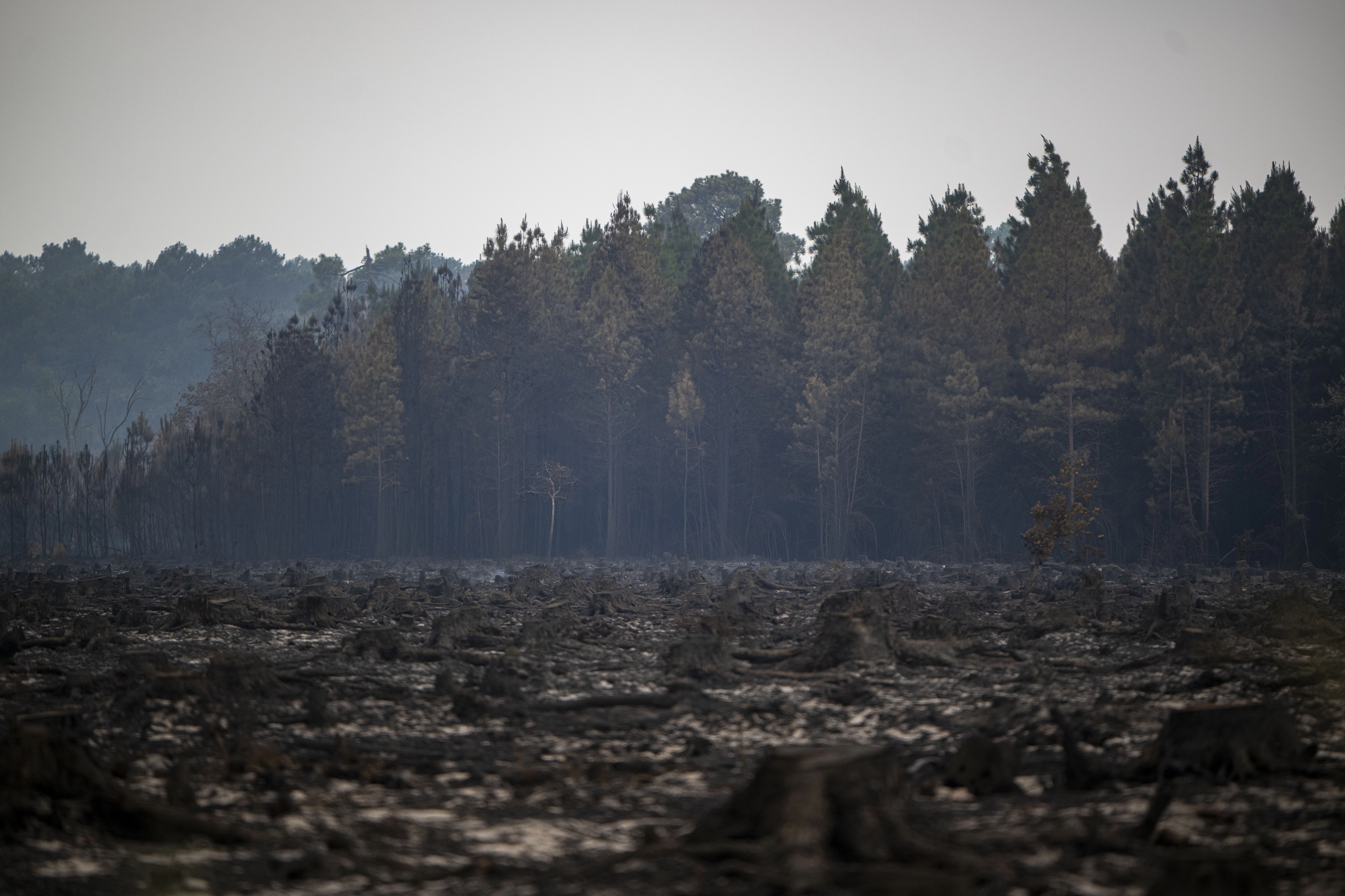 Incendii Franța