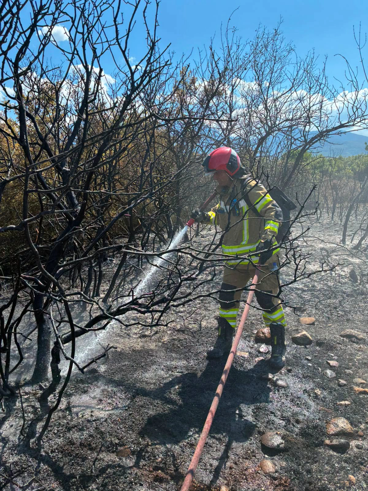 Pompieri moldoveni sting incendiile în Grecia