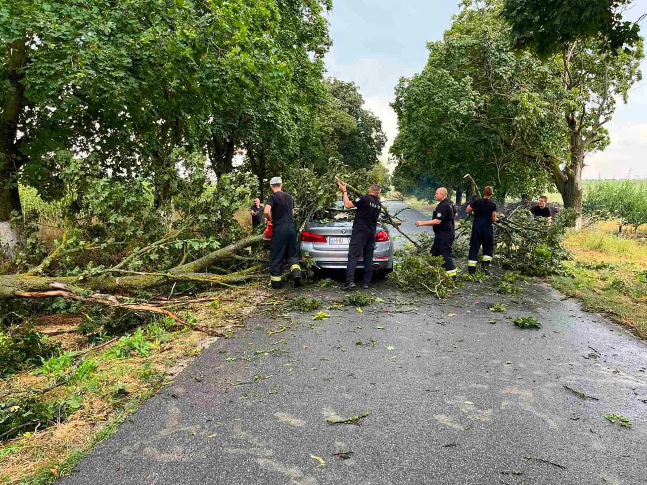 Furtuna a făcut ravagii în mai multe raioane din țară