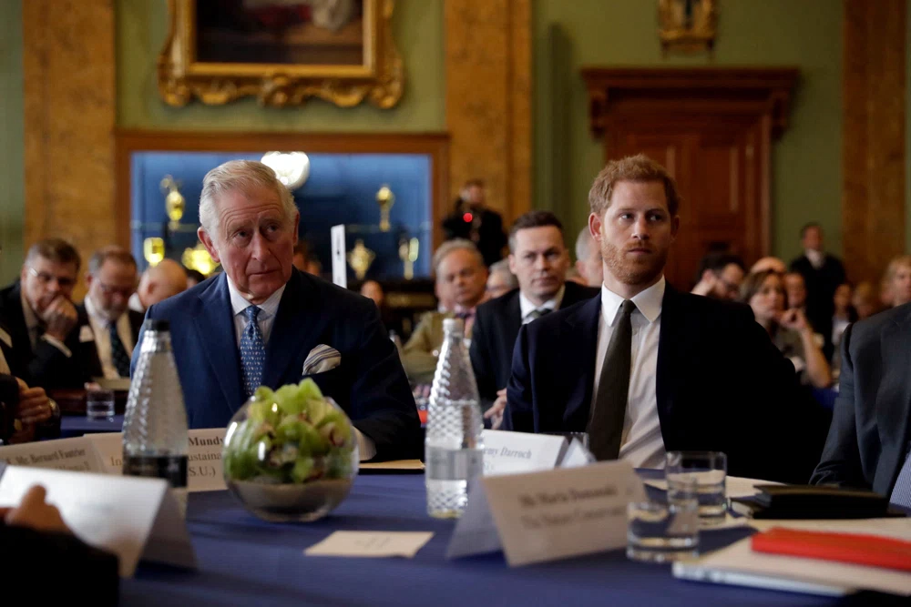 Prințul Harry și Regele Charles 
