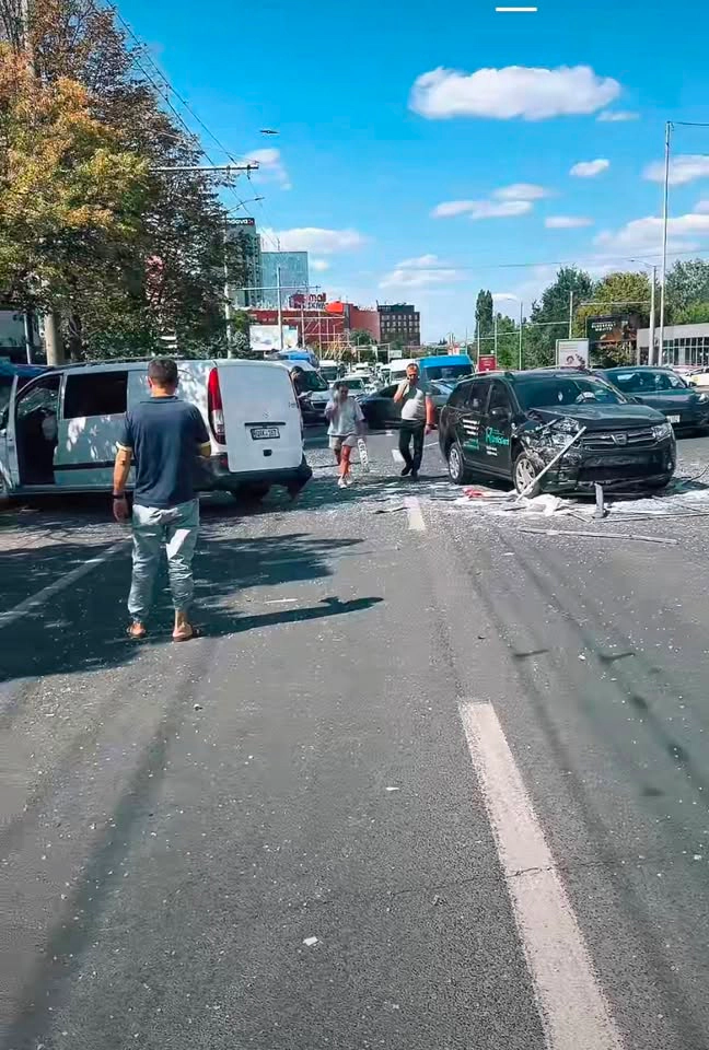 Accident Botanica
