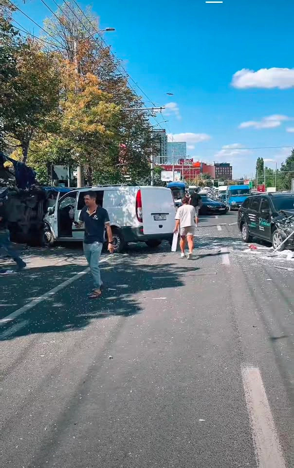 Accident Botanica