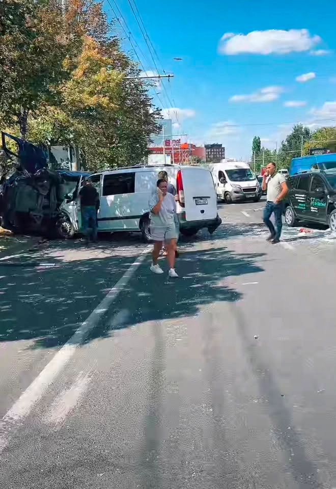 Accident Botanica