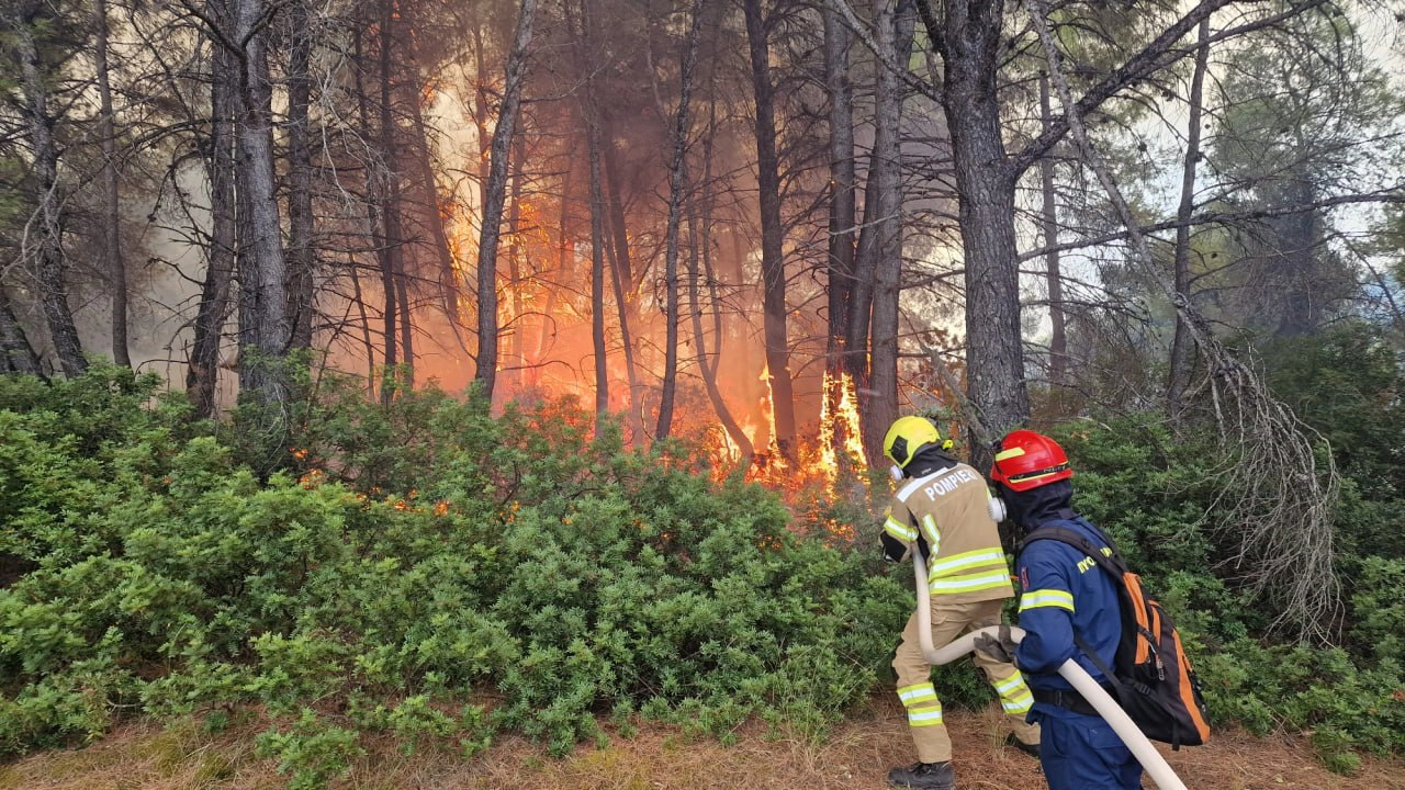 Incendiu