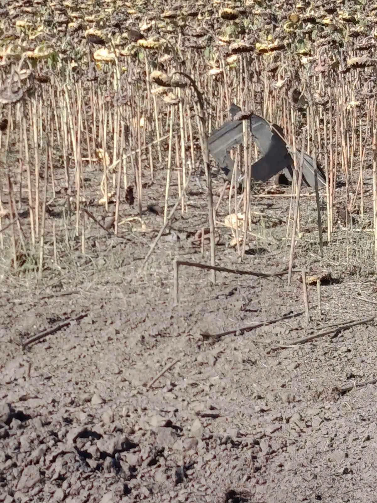 Resturi de dronă