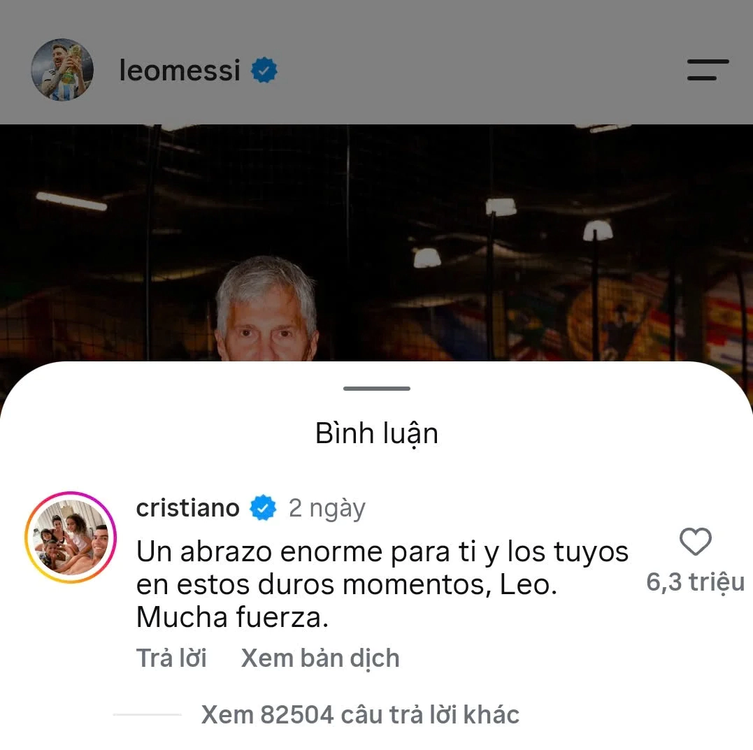 Poza de referință