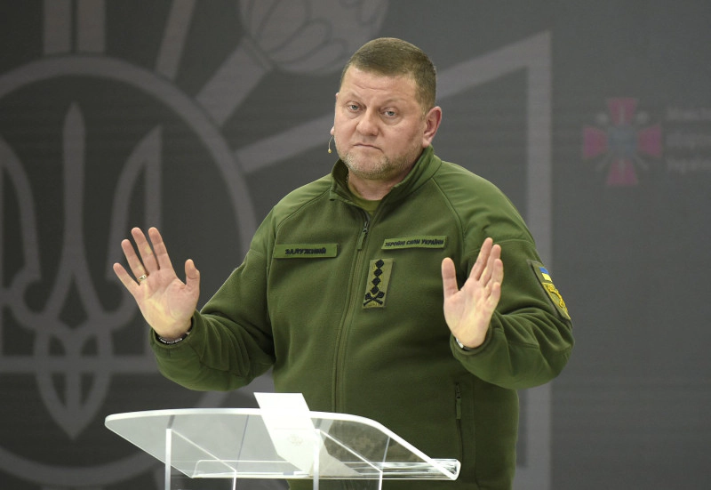 Valeri Zalujnîi