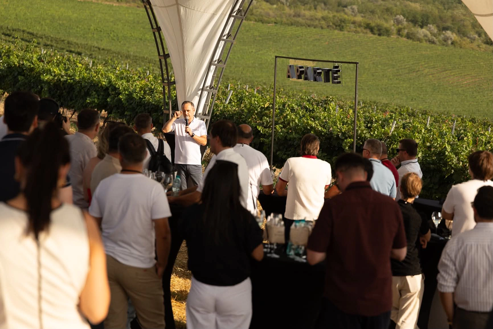 RADACINI lansează primele vinuri cu Denumire de Origine Protejata din Republica Moldova