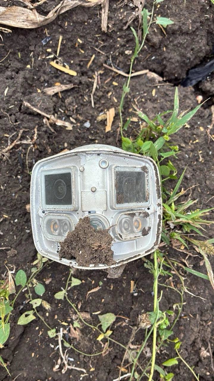 Dronă Florești