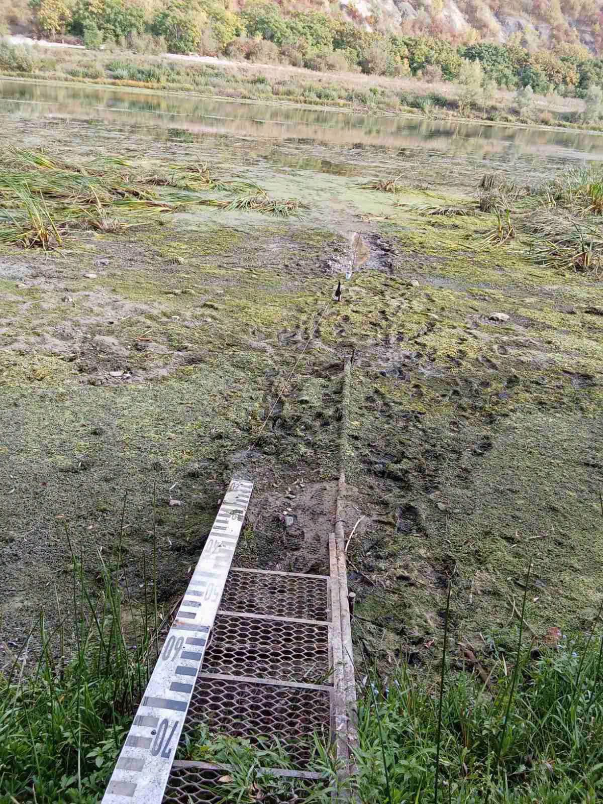 Nivelul Nistrului