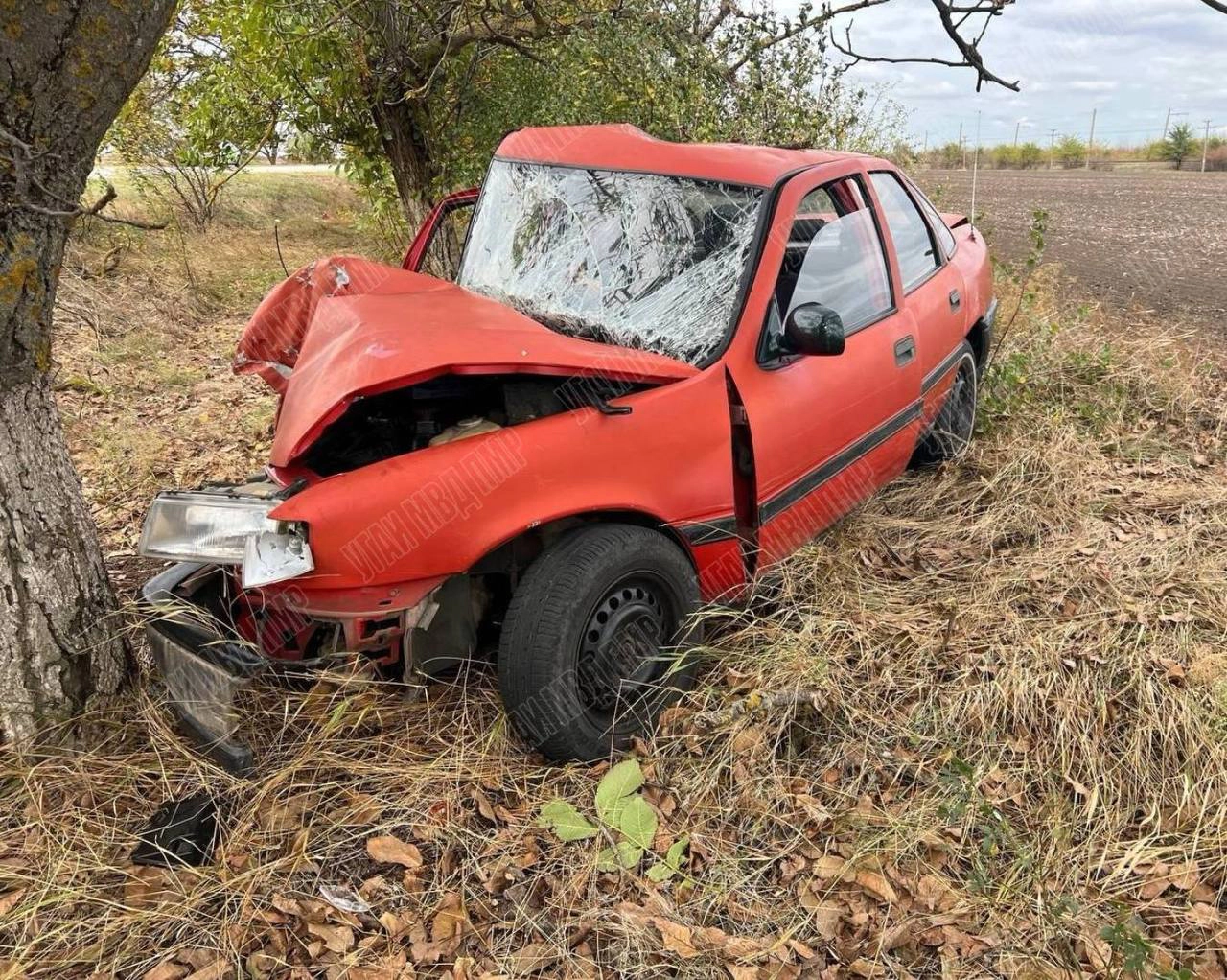 Accident grav